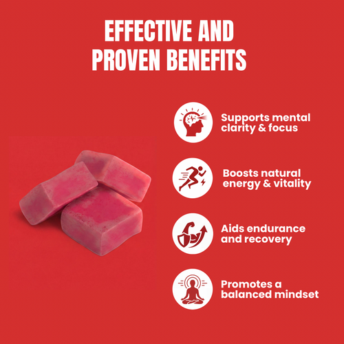 Mushi Energy Gummies
